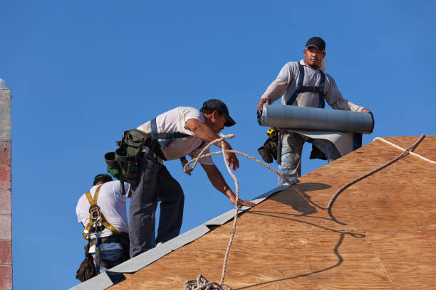 Best Roof Restoration Services  in Breckenridge, MI
