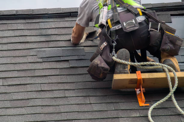 Best Roof Gutter Cleaning  in Breckenridge, MI