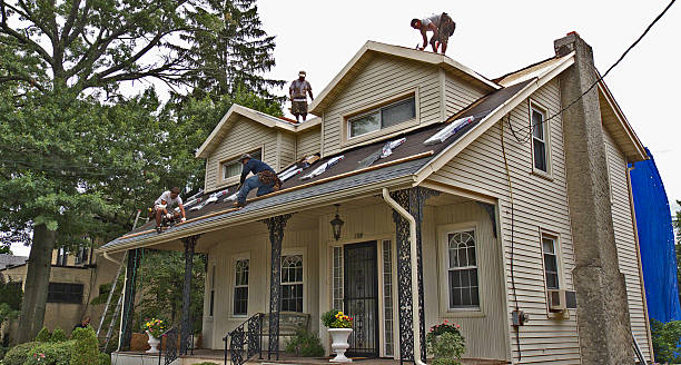 Best Roof Maintenance Services  in Breckenridge, MI