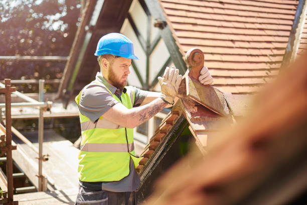 Best Metal Roofing Contractor  in Breckenridge, MI