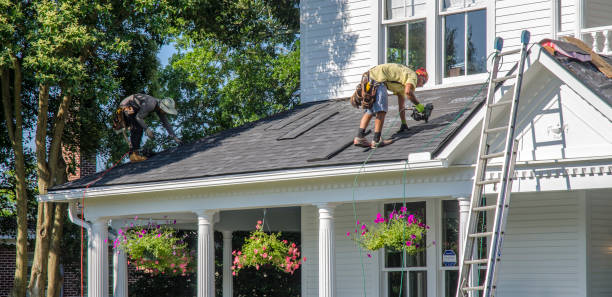 Best Roof Waterproofing Services  in Breckenridge, MI